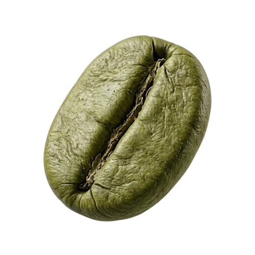 دانه سبز قهوه روبوستا نوا