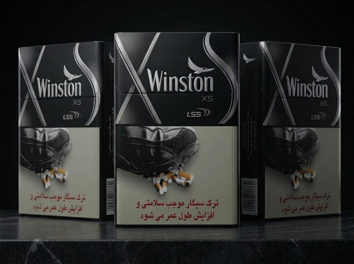  تصویر وینستون ایکس اس نقره ای winston xs silver از نمای مختلف 